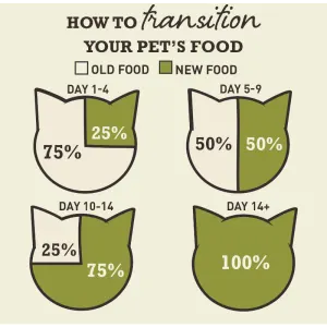 guide to transition your cat to Acana food