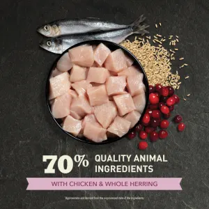 Acana Cat First Feast Kitten Recipe Chicken and Whole Herring