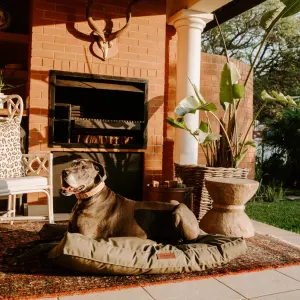 Huntlea Dog Kalahari Orthopaedic Bed lifestyle image of bed and dog outdoors in the sun