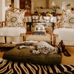 Huntlea Dog Kalahari Orthopaedic Bed lifestyle image with spotted medium breed dog lying on its side