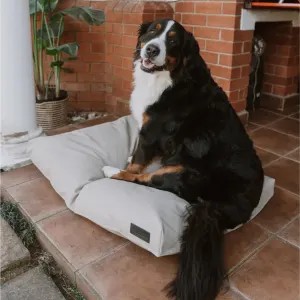 lifestyle image of large dog sitting on bed outside