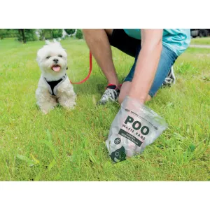image of dog in park with owner using poo bag to collect waste