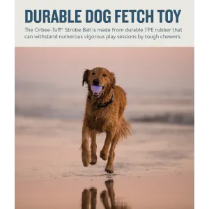 dog running on beach with strobe ball and durability info at top