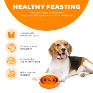 dog with fun feeder and list on left of some slow feeder benefits