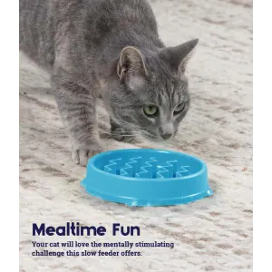 cat eating from blue feeder