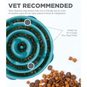 vet recommended and features large