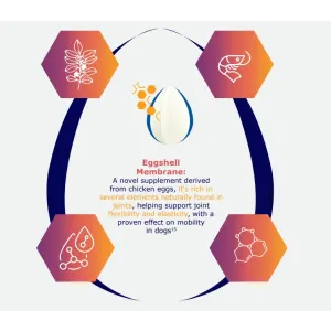 Image explaing eggshell membrane benefits in Movoflex