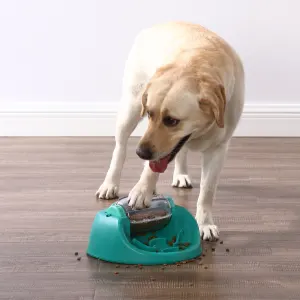 golden lab eating and playing with the puzzle toy