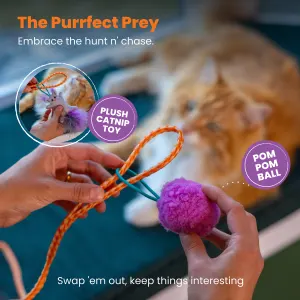 catnip & pom pom ball features on wand