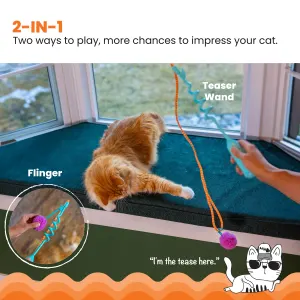 cat playing with toy and human