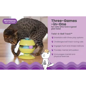 features of the puzzle toy