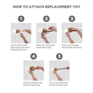 step by step guide on replacing the lures