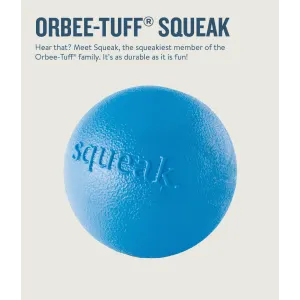 blue squeak ball