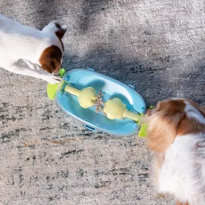 two small breed dogs playing with the puzzle toy together