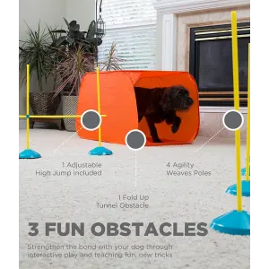 dog using all the equipment that comes with the agility kit
