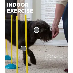 dog using the weave poles and being encouraged by a treat