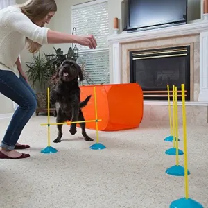dog and owner demonstrating how to use the agility kit in lounge