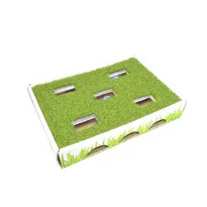 Grass Patch Hunting Box for Cats