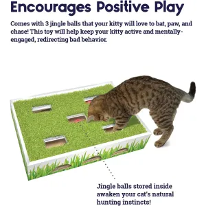 cat playing with the grass patch toy, and info on top about the different ways to play