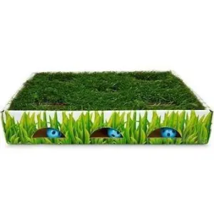 side view of box showing off the balls, grass & some hidden compartments
