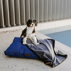 dog sitting on blanket which is on top of a huntlea bed