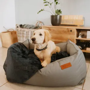 dog laying on blanket which is on a huntlea bed