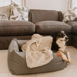 dog laying on huntlea bed with ivory blanket on top of dog