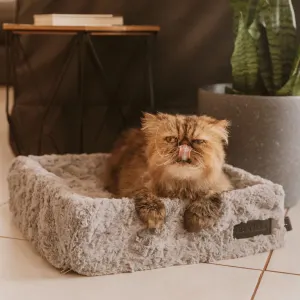 cat lying on grey bed