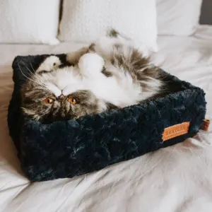 cat lying on navy bed