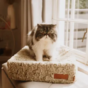 cat lying on ivory bed