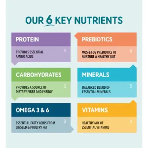 list of 6 nutrients and how they benefit a dogs diet