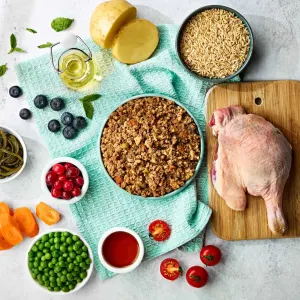 images of raw ingredients in this recipe and bowl of the naturo pouch emptied out