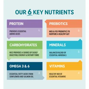 list of 6 nutrients and how they benefit a dogs diet