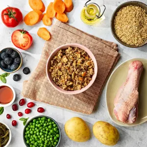 images of raw ingredients in this recipe and bowl of the naturo pouch emptied out