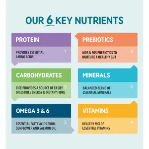 list of 6 nutrients and how they benefit a dogs diet