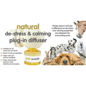 info about the diffuser