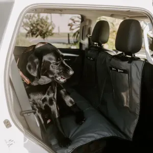 dog sitting on cover in car