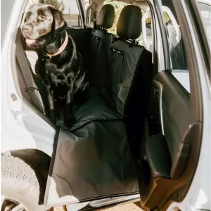 dog sitting on open cover in car