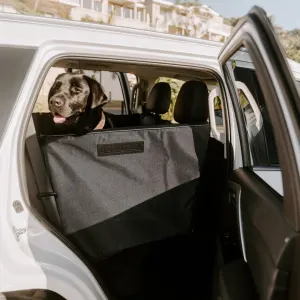 dog sitting in car on closed cover