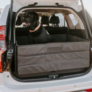 dog sitting in boot box closed