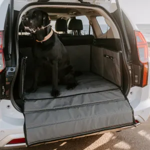 dog sitting in boot box opened