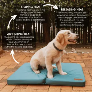 how it works to cool your dog