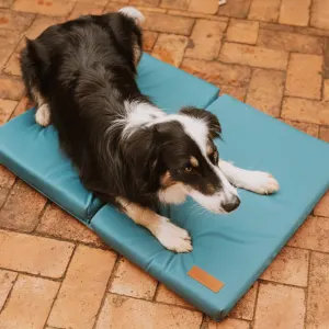dog laying on mat