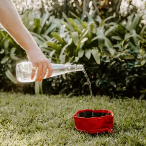 pouring water into a red bowl