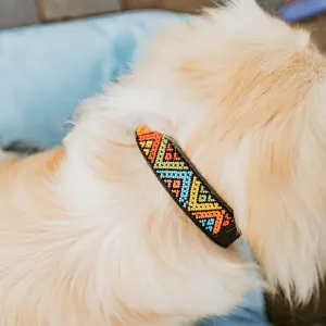 small furry dog with black collar