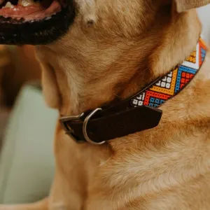 image of dogs neck wearing a brown collar