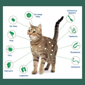 all ticks, fleas and worms that are treated