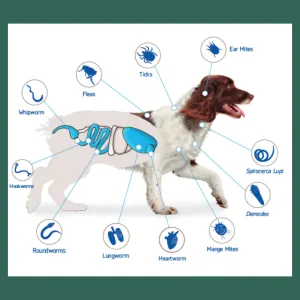 all ticks, fleas and worms that are treated