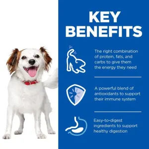 key benefits of the adult mousse