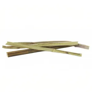 Rosewood Naturals Catnip Sticks Cat Treats